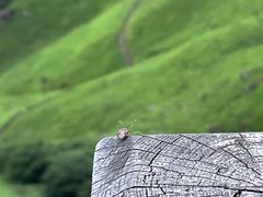 -萍乡武功山风景名胜区