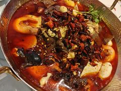 水煮鱼（鮰鱼斤）-正兴蜀园(科技园区店)