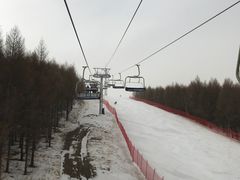 -多乐美地滑雪场