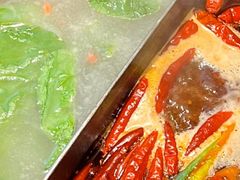 -大龙燚·旷野鲜火锅(广州首店)