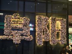 -祥源·阜阳生态乐园