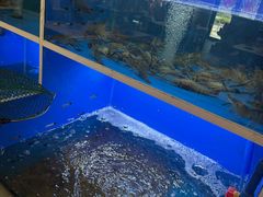 -阿尔法海鲜排档(爱琴海店)