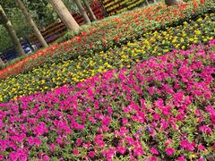 -临沂动植物园