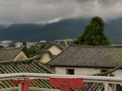 -喵屿·大理花园猫咖