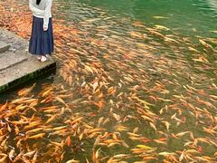 -楠溪江风景名胜区