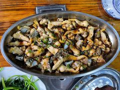 寻龙鱼-美厨尚品