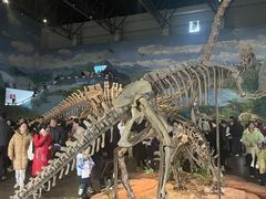 -自贡恐龙博物馆