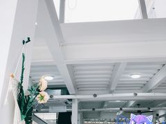 -星多哈·狗咖·拼豆·咖啡