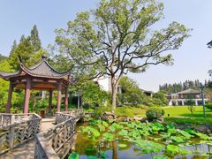 -杭州花家山庄