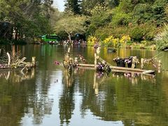 -深圳仙湖植物园