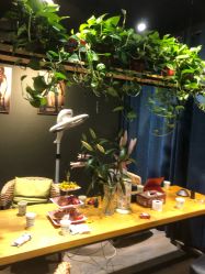 -藤野造型·专业烫染店