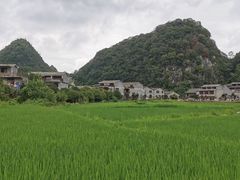 -高荡千年布依古寨旅游景区