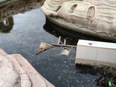 -维斯特假日酒店温泉