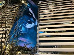 -桂满陇·海市蜃楼·黑金(国金店)