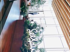 -Seesaw Coffee(朝阳大悦城店)