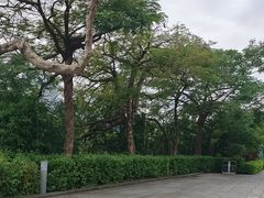-东部华侨城
