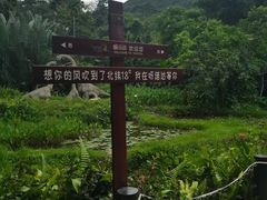 -呀诺达热带雨林