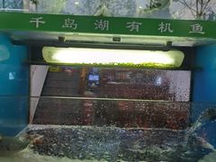 -全乐鱼馆·淳牌有机鱼直营店