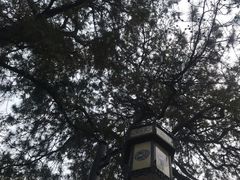 -鹫峰国家森林公园