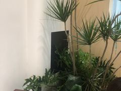 -XI·LaundryCafe 喜咖自助洗衣咖啡店