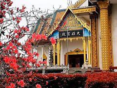 -报恩禅寺