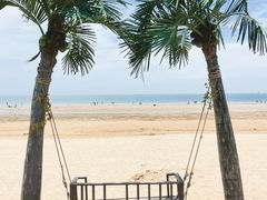 -日照海滨国家森林公园