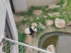 -沈阳森林动物园