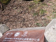 -王顺山国家森林公园