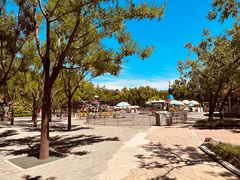 -大望京公园