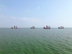 -贡湖湾湿地公园