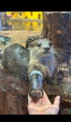 -Zoolung Zoolung动物主题公园(海信广场店)