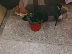 -杨氏青龙虾·羊蝎子(珠江路店)