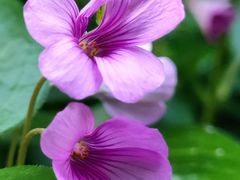 -苏州河梦清园环保主题公园