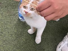 -尚庄度假村·庭台树下·户外烧烤·团建CS·轰趴营地(上庄水库店)