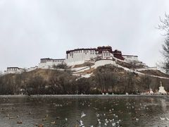 -宗角禄康公园