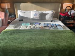 -臻康乃馨月子中心(凯宾斯基店)
