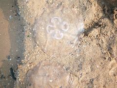 -东戴河风景区-止锚湾