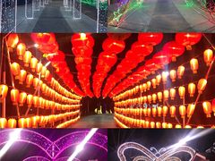 -青龙湖公园