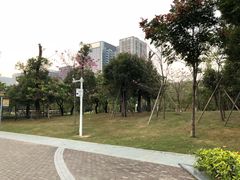 -松坪山公园