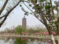 -西海子公园