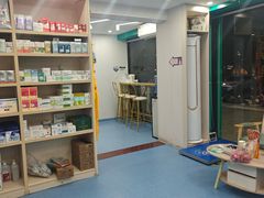 -博特宠物医院24h犬猫全科.骨科·异宠