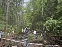 -汤旺河林海奇石景区