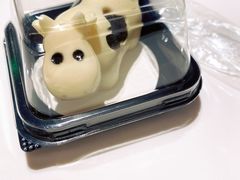 -海底捞火锅(公益西桥店)