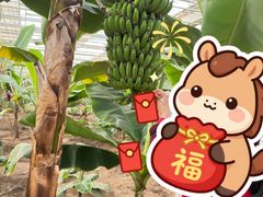 -长春农业博览园