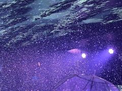 -M-MIX电音烤吧