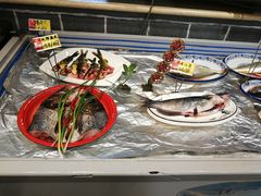 -邵年鸽(杨庄店)