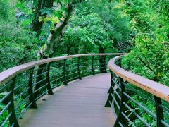-深圳仙湖植物园