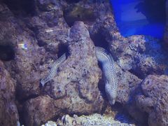 -福州罗源湾海洋世界旅游区