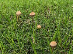 -祥源·阜阳生态乐园