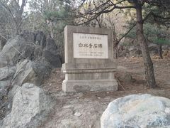 -白水寺森林公园